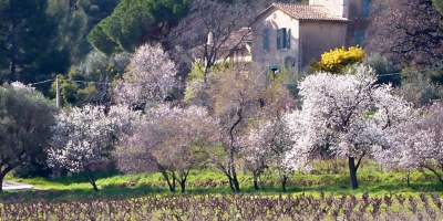 Domaine Pierrascas