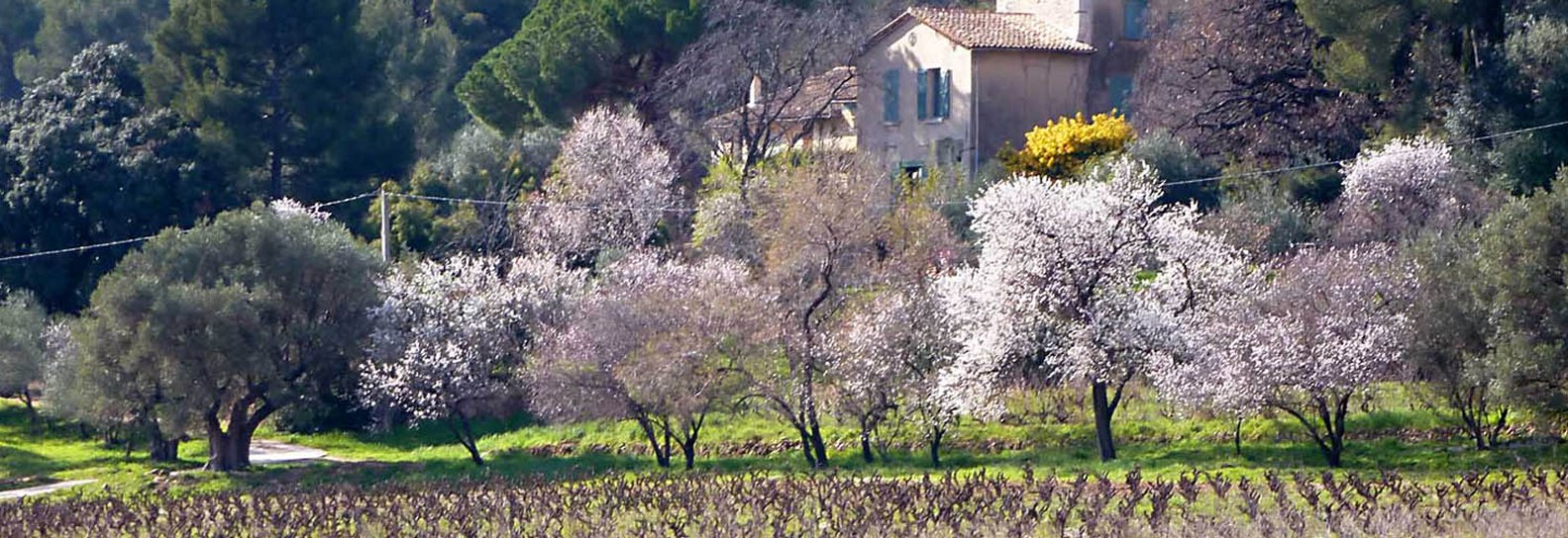 Domaine Pierrascas